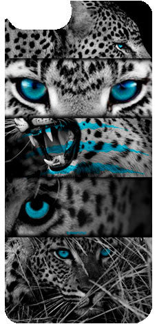 Cheetah Blue Eyes