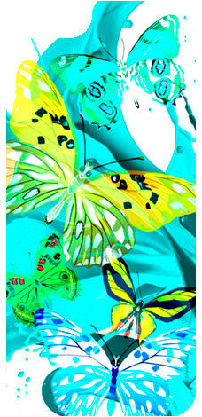 Butterflies Teal