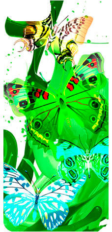 Butterflies Green