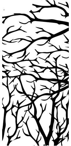 Tree Branches